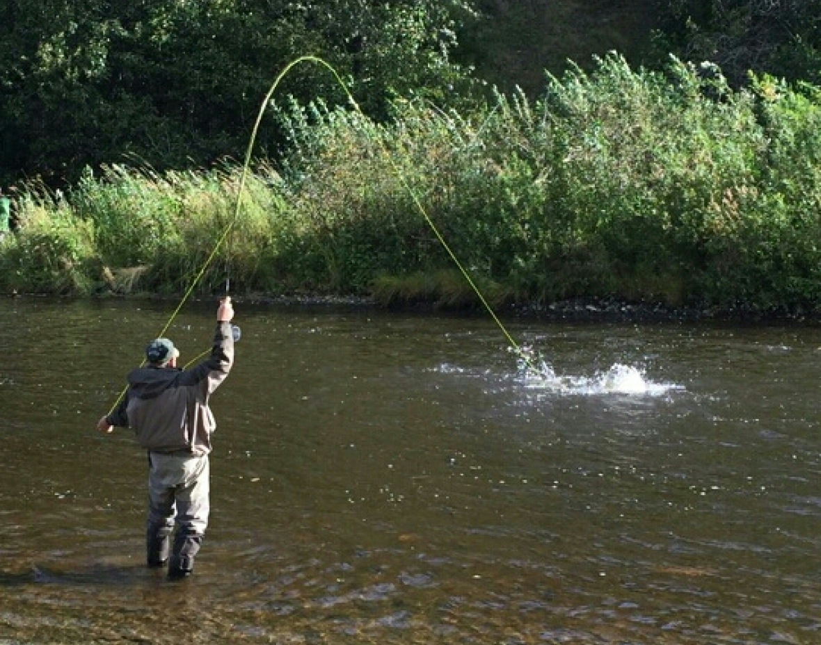  River Bank Fishing